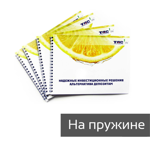 Брошюры на пружину